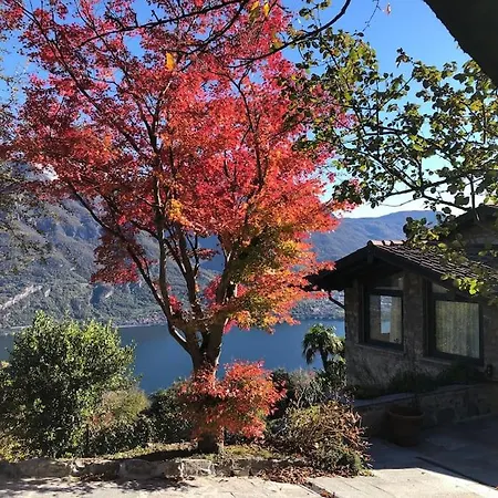 别墅 Villa Bellagio Como